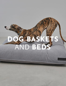 dogs